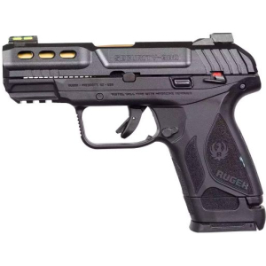 Ruger Security-380 Gold 380ACP 3.42″ Barrel 10+1/15+1